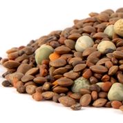 Mumm's Organic Sprouting Seeds - Brilliant Blend