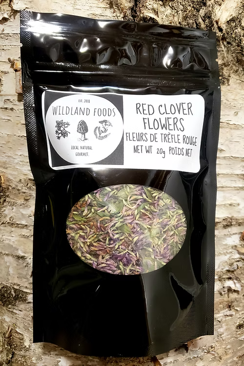 Wildland Foods Red Clover Flowers LOCAL