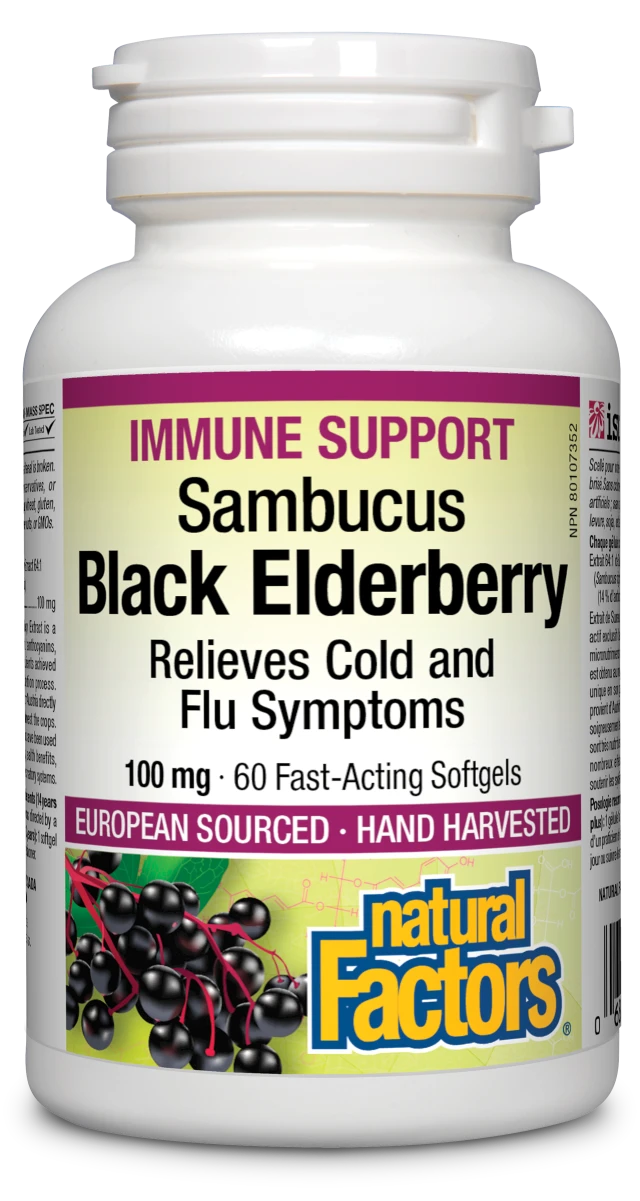 Black Elderberry Sambucus Standardized Extract 100 mg