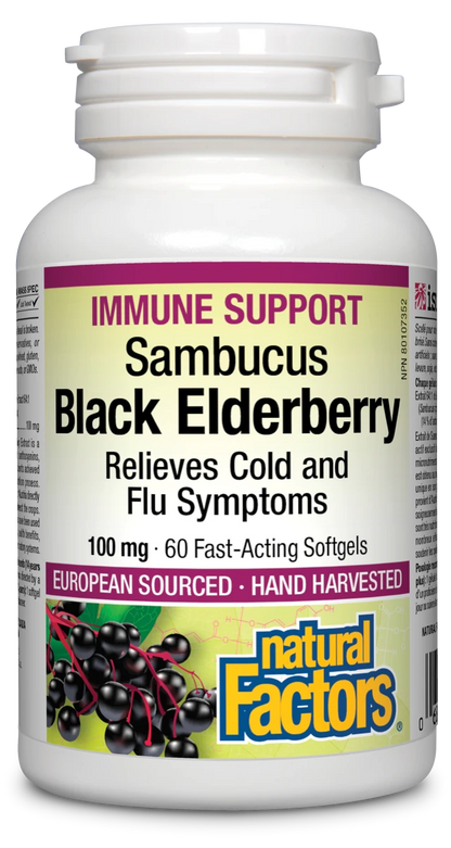 Black Elderberry Sambucus Standardized Extract 100 mg
