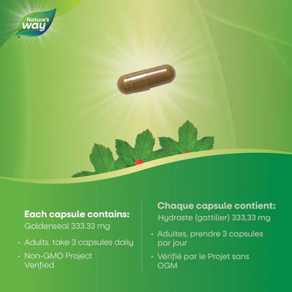 Goldenseal Root