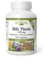 Milk Thistle