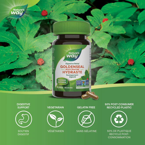 Goldenseal Root