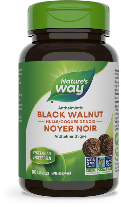 Black Walnut Hulls