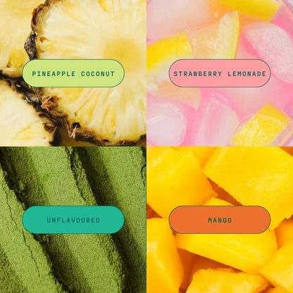 Magic Scoop All-in-One Greens Variety Pack