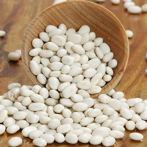 Navy Beans, Organic
