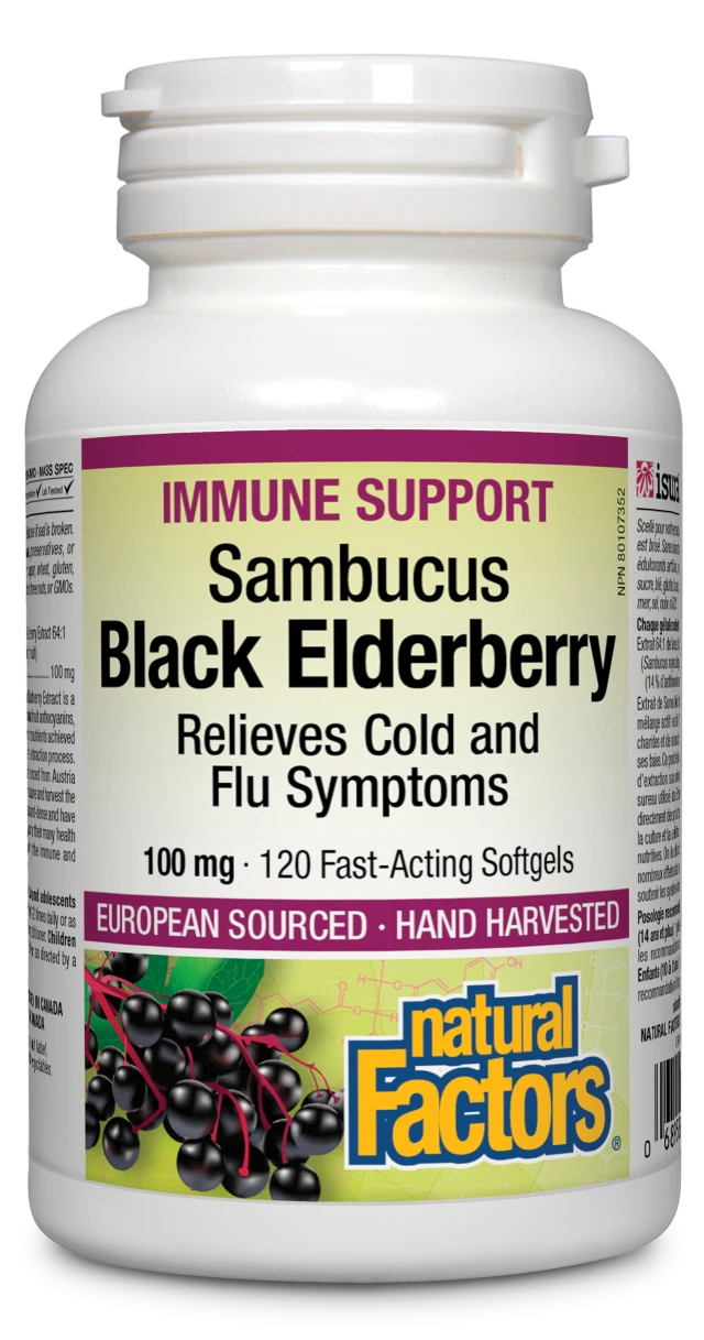 Black Elderberry Sambucus Standardized Extract 100 mg