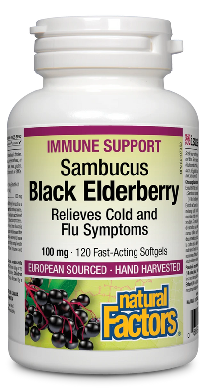 Black Elderberry Sambucus Standardized Extract 100 mg