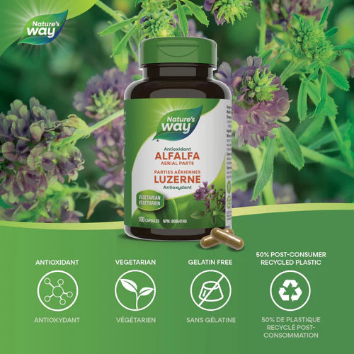 Alfalfa Leaves Capsules