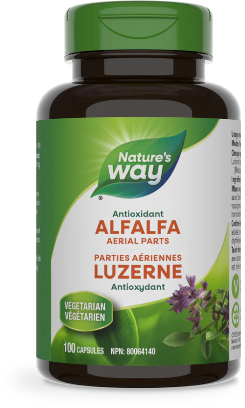 Alfalfa Leaves Capsules