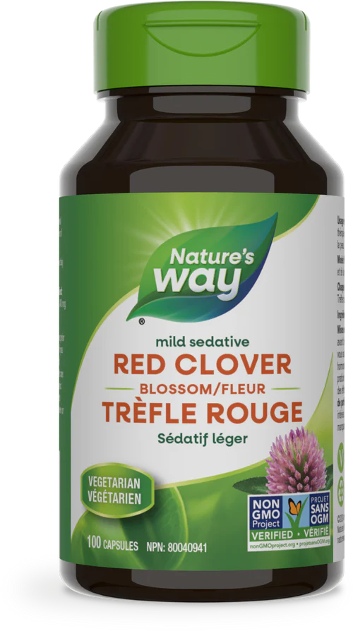 Red Clover Blossom