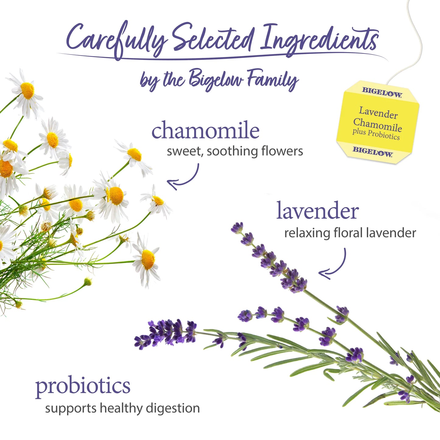 Bigelow Lavender Chamomile Plus Probiotics Herbal Tea