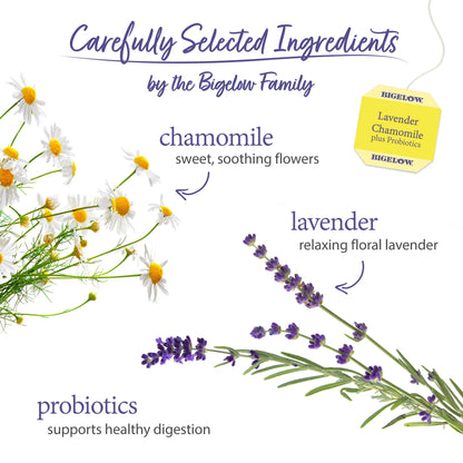 Bigelow Lavender Chamomile Plus Probiotics Herbal Tea