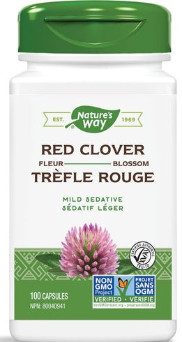 Red Clover Blossom